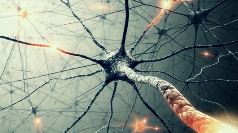 Autismo y teoría polivagal. Lo sensorial y el trauma.